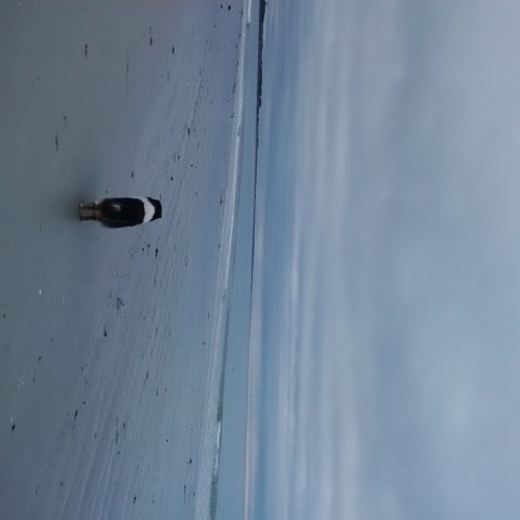 Lire la suite à propos de l’article Chronique dans les pas du père