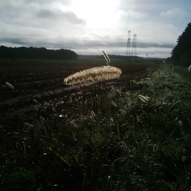 Lire la suite à propos de l’article Chronique autour des fêtes d&rsquo;anniversaire