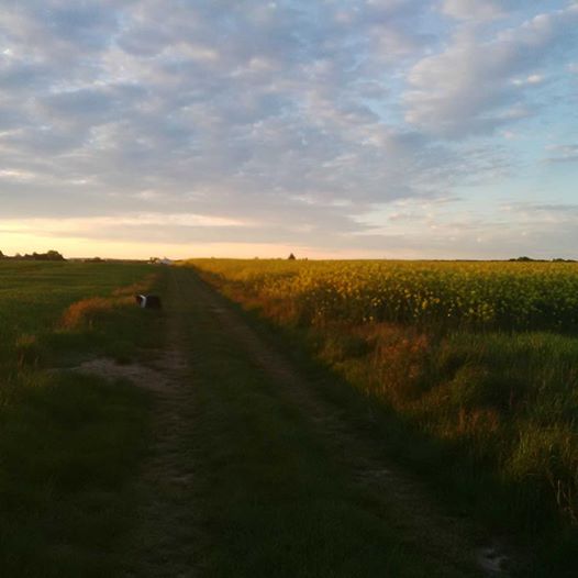 Lire la suite à propos de l’article Chronique autour d&rsquo;une âme automnale