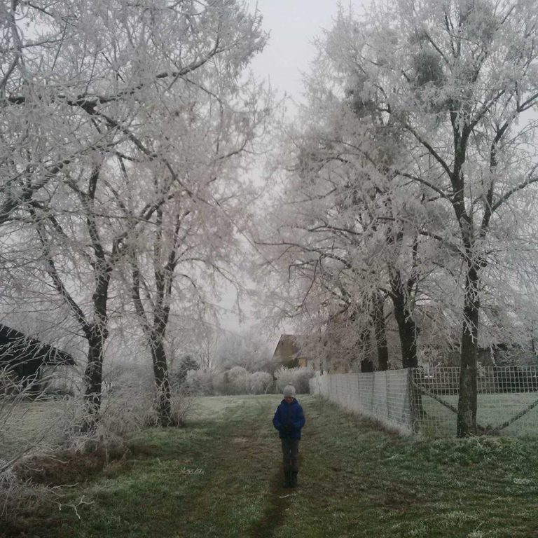 Lire la suite à propos de l’article Chronique autour d&rsquo;un troisième dimanche de l&rsquo;Avent