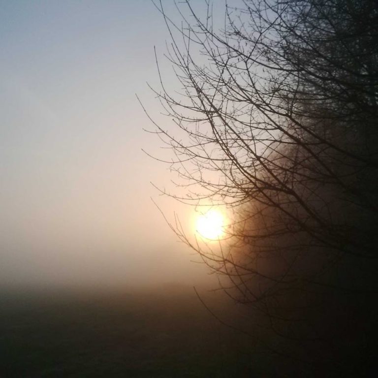 Lire la suite à propos de l’article Chronique d&rsquo;un sacrifice sur l&rsquo;autel de l&rsquo;industrie pharmaceutique