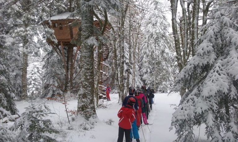 Lire la suite à propos de l’article Chronique d&rsquo;un lundi de février ordinaire