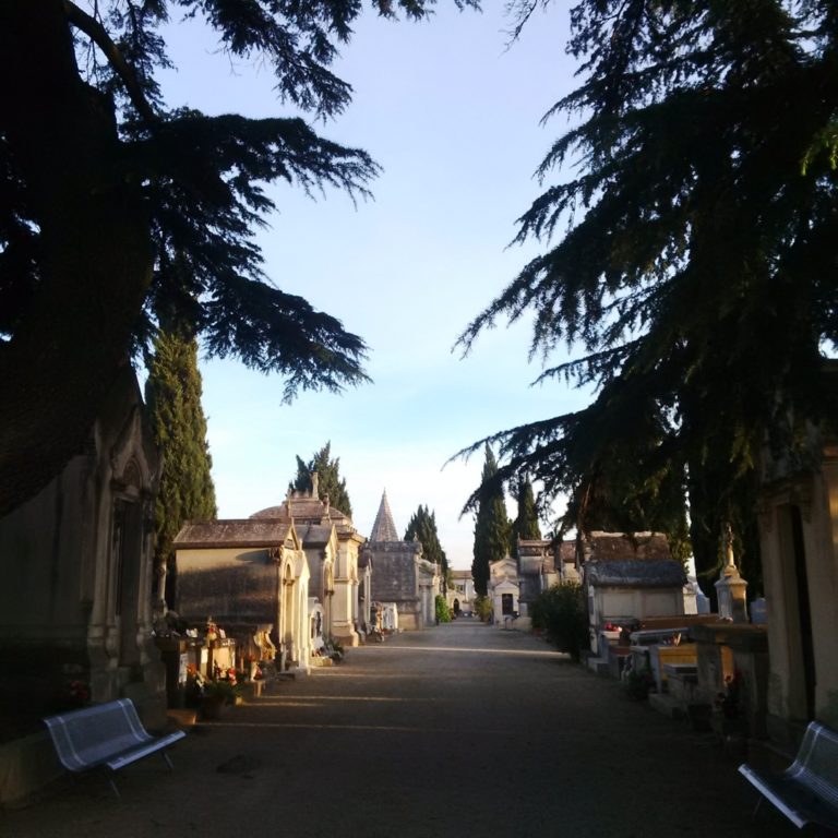 Lire la suite à propos de l’article Chronique des bientôt dix-neuf ans