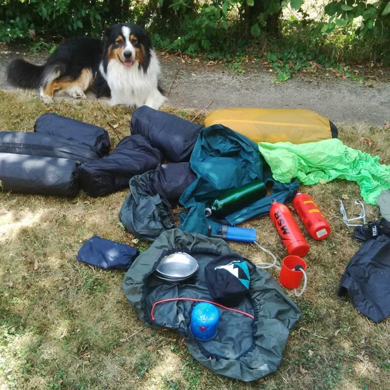 Lire la suite à propos de l’article Chronique depuis un plateau ensoileillé