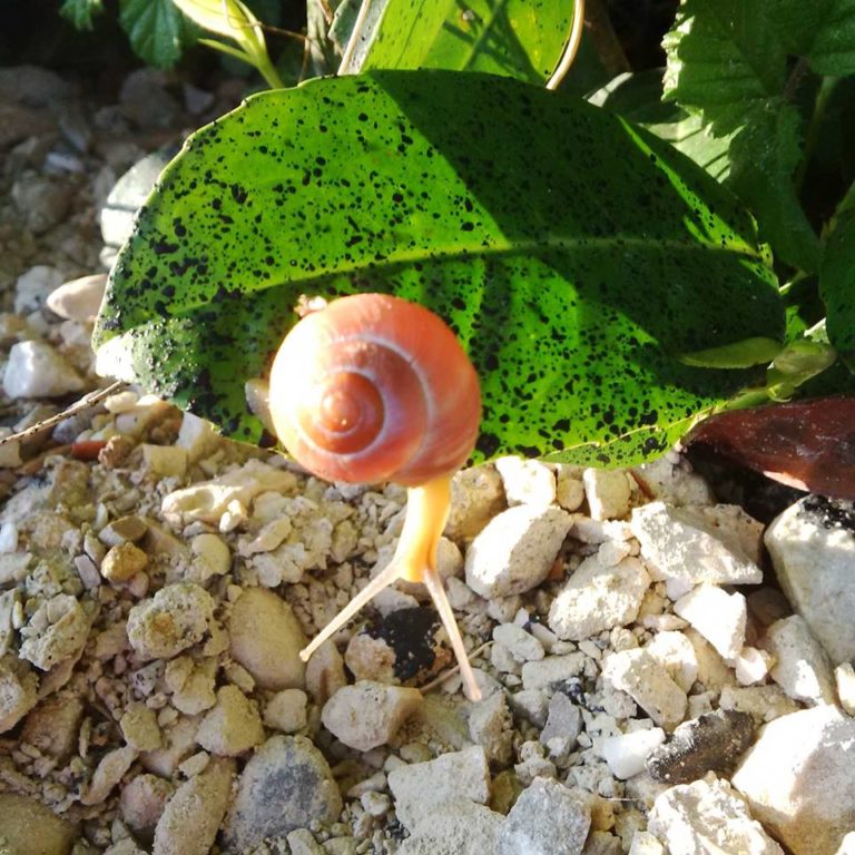 Lire la suite à propos de l’article Chronique autour de deux nouvelles étapes fortes (rentrée en sixième et rentrée en seconde)