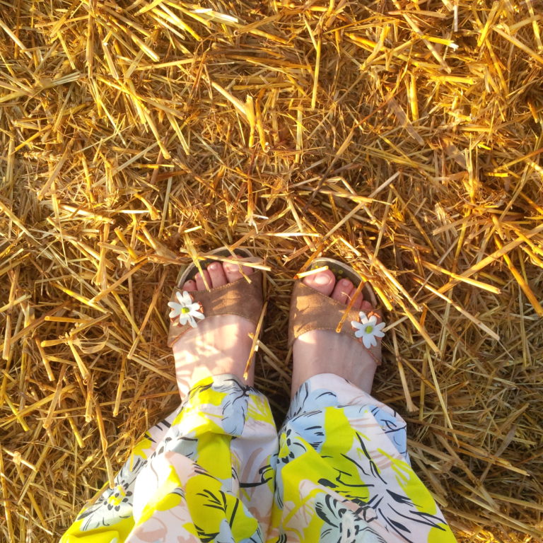 Lire la suite à propos de l’article Chronique d&rsquo;un esprit en chemin