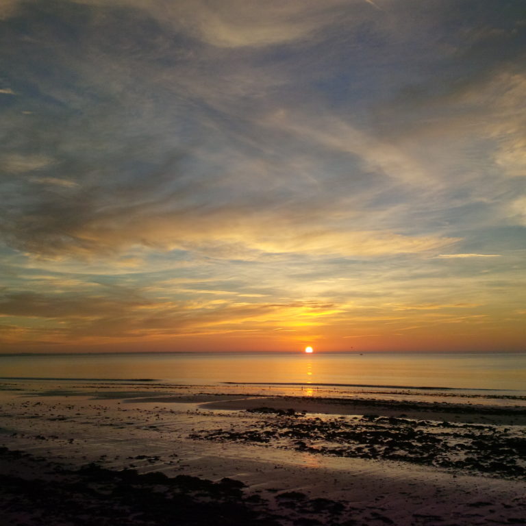 Lire la suite à propos de l’article Chronique du retour à l&rsquo;océan céréalier