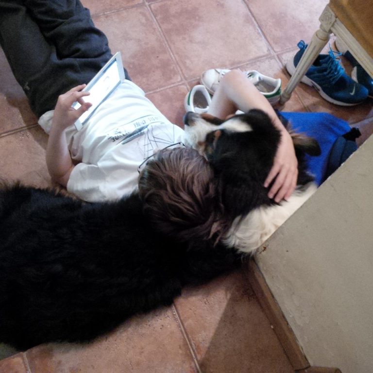 Lire la suite à propos de l’article Chronique à l&rsquo;approche de l&rsquo;Avent par un lundi blanc