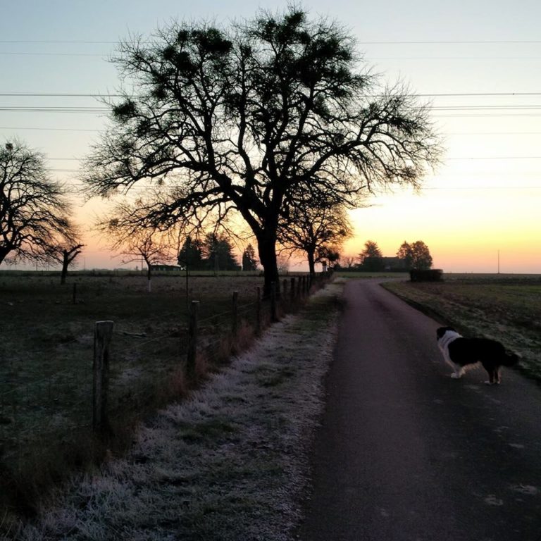 Lire la suite à propos de l’article Chronique à une semaine de Noël