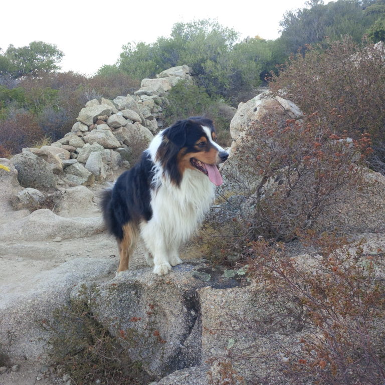 Lire la suite à propos de l’article Chronique d&rsquo;un avant départ pour le Queyras revisité