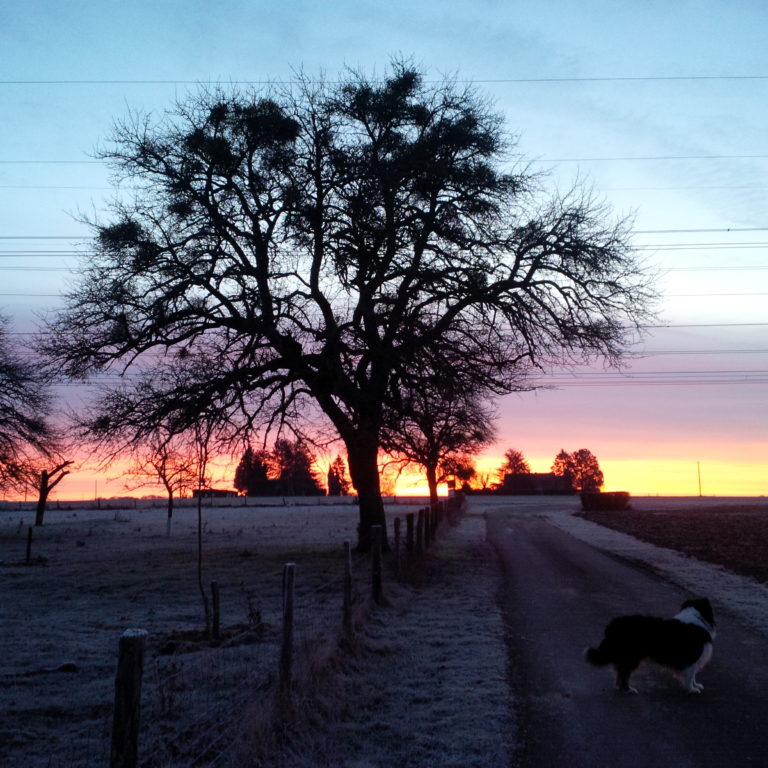 Lire la suite à propos de l’article Chronique d&rsquo;une famille sur un plateau en hiver