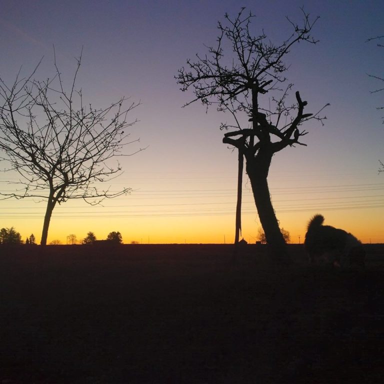 Lire la suite à propos de l’article Chronique d&rsquo;un séjour à Bonneval-sur-Arc