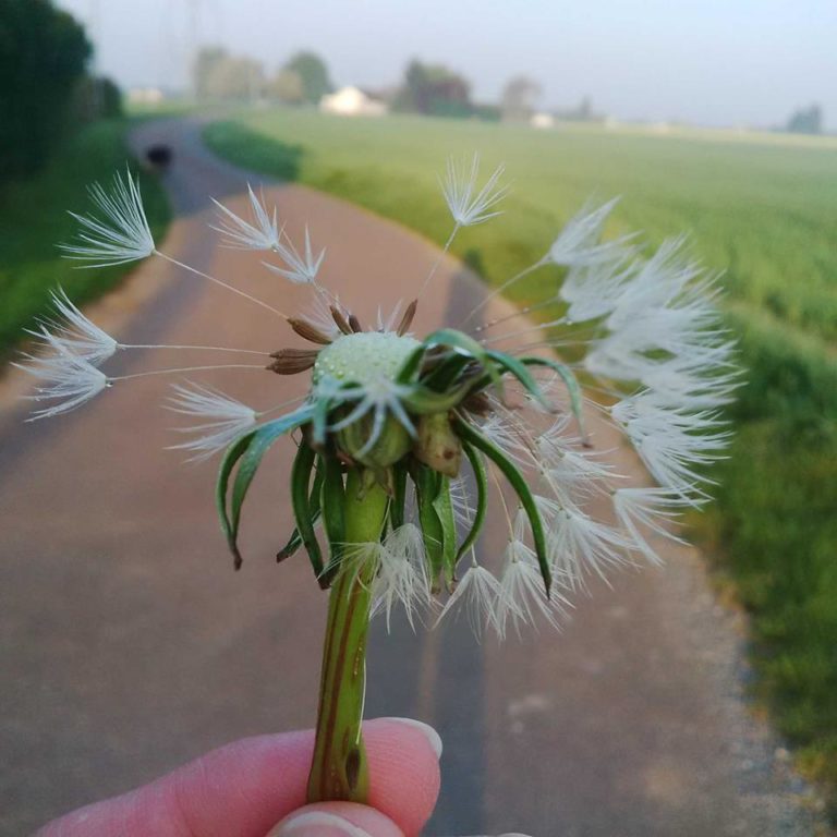 Lire la suite à propos de l’article Chronique autour de la capacité humaine capitale: la confiance