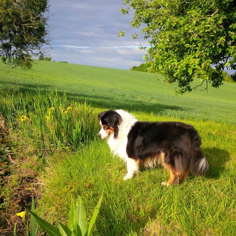 Lire la suite à propos de l’article Chronique entre fin des vacances de Pâques et grande respiration pascale