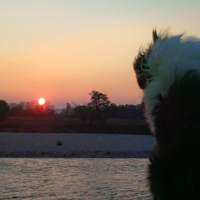 Lire la suite à propos de l’article Chronique autour de Notre-Dame de Paris