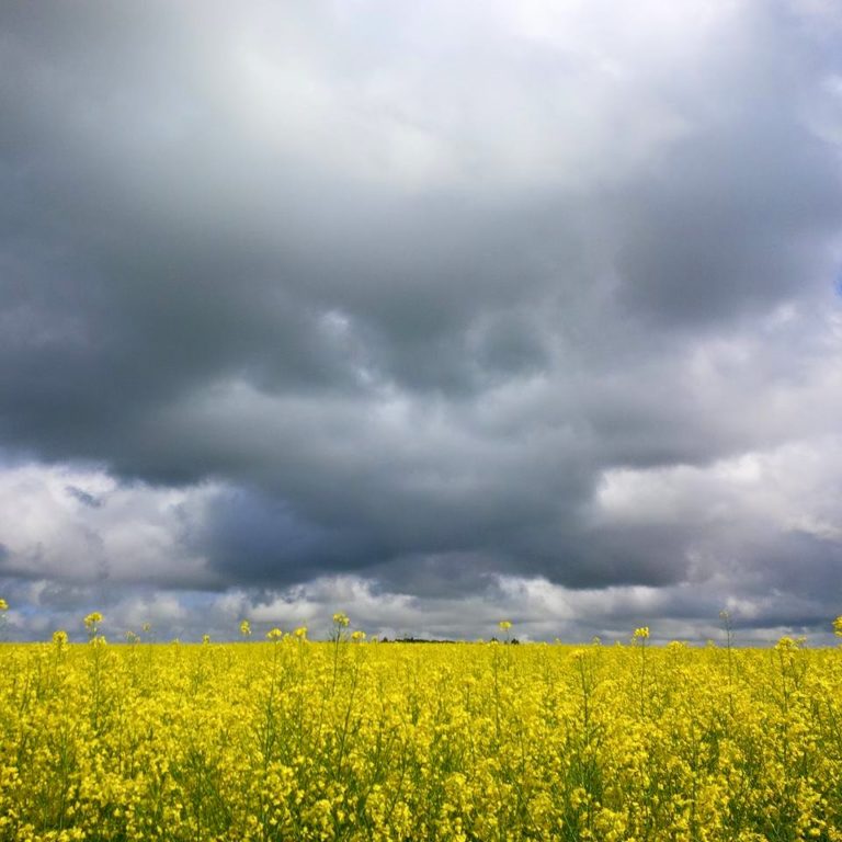 Lire la suite à propos de l’article Chronique entre vacances à venir et psychogénéalogie