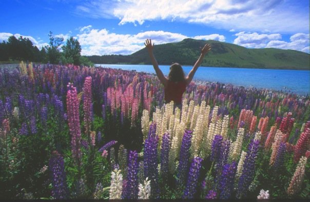 Lire la suite à propos de l’article Chronique d&rsquo;une évasion capitale