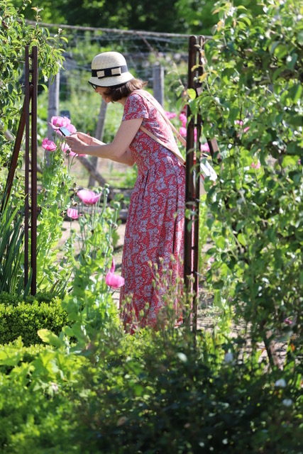 Lire la suite à propos de l’article Chronique d&rsquo;un retour sur un plateau moissonné après une évasion capitale (suite et fin)