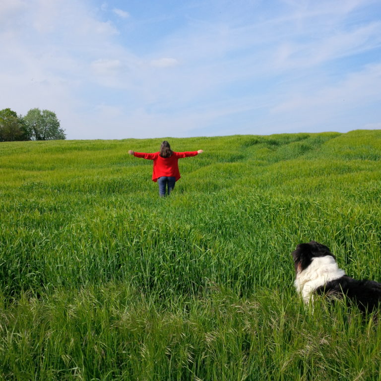 Lire la suite à propos de l’article Chronique intuitive d&rsquo;une sophrologue en passe de laisser ses sabots