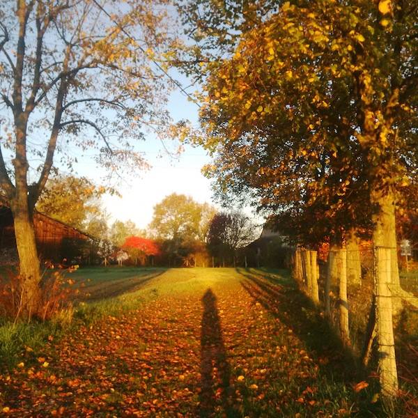 Lire la suite à propos de l’article Chronique autour des seize ans d&rsquo;une aînée