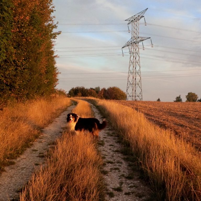Lire la suite à propos de l’article Chronique autour de la fin d&rsquo;un été