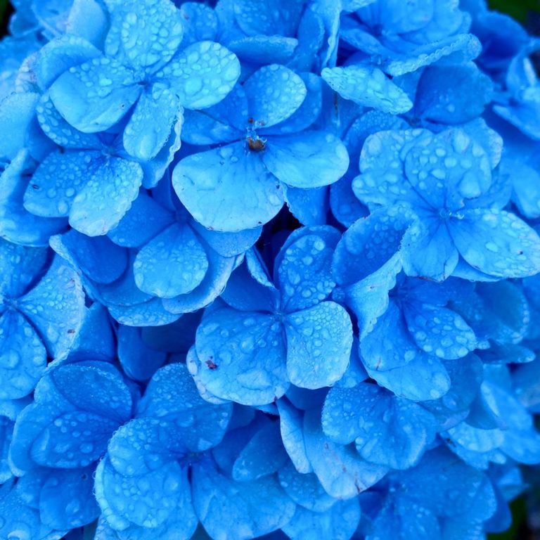 Lire la suite à propos de l’article Chronique d&rsquo;un éternel retour