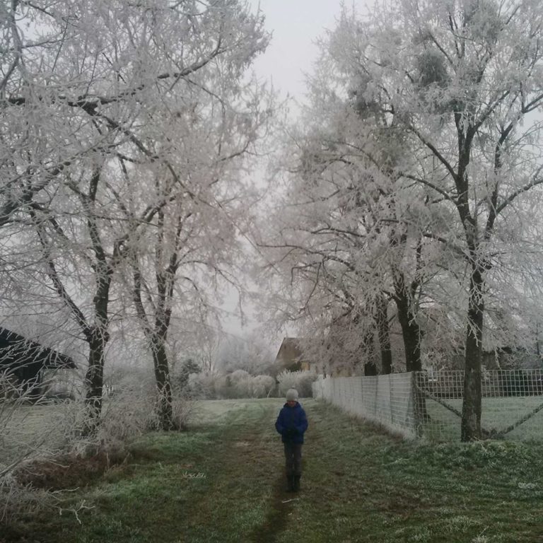 Lire la suite à propos de l’article Chronique à la veille du premier dimanche de l&rsquo;Avent