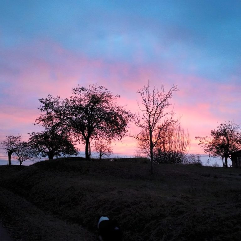 Lire la suite à propos de l’article Chronique autour d&rsquo;un départ pour une évasion capitale