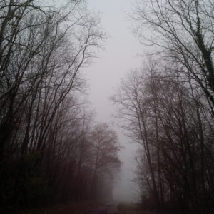 Lire la suite à propos de l’article Chronique autour d&rsquo;une maison de famille et de l&rsquo;esprit de Noël