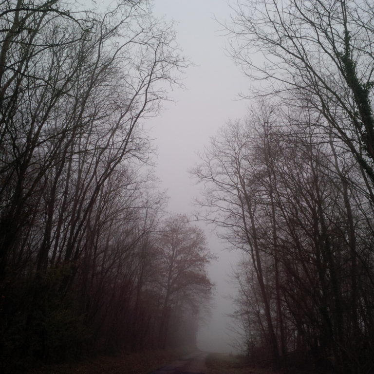 Lire la suite à propos de l’article Chronique autour d&rsquo;une maison de famille et de l&rsquo;esprit de Noël