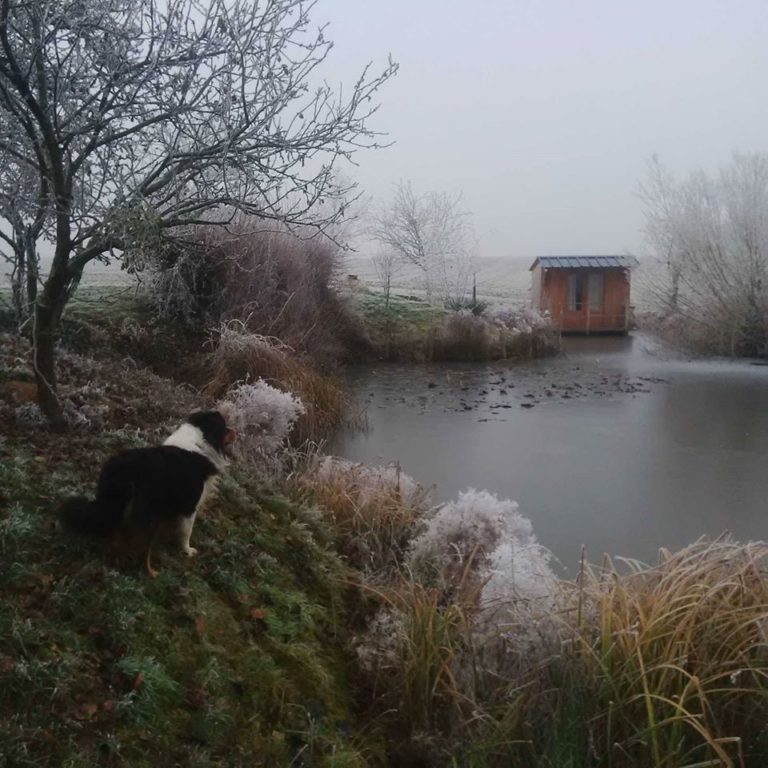 Lire la suite à propos de l’article Chronique du 1er janvier