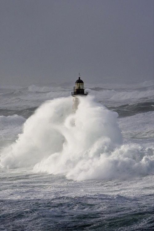 Lire la suite à propos de l’article Chronique d&rsquo;un lundi tempétueux