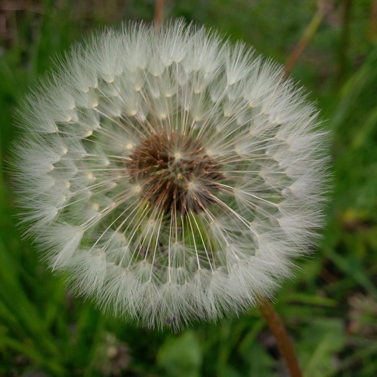 Lire la suite à propos de l’article Chronique des dernières fois