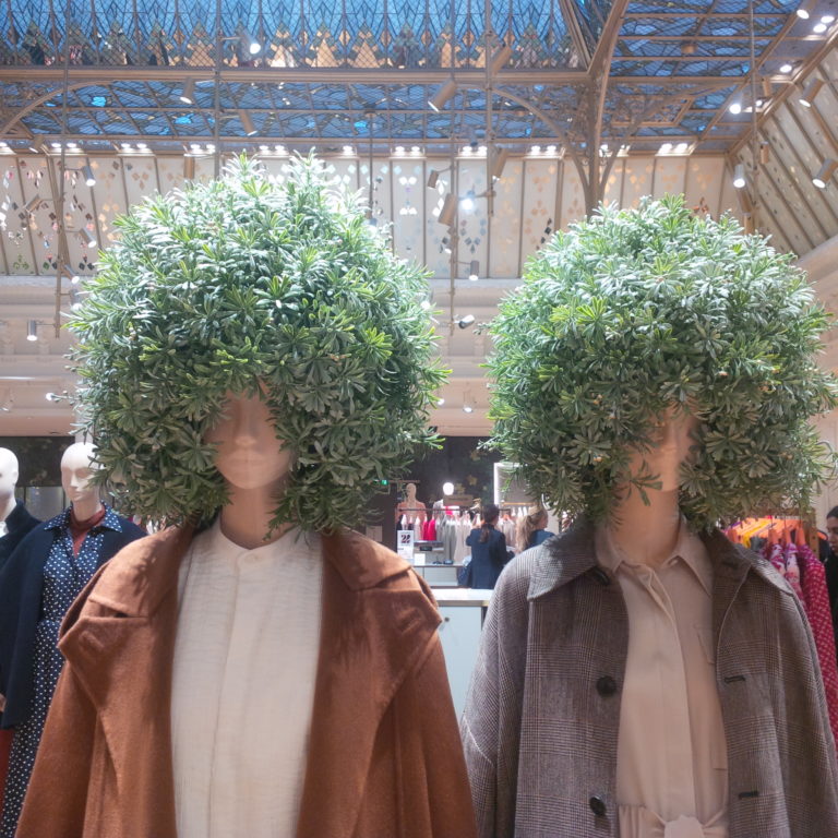 Lire la suite à propos de l’article Chronique autour des chevelures confinées