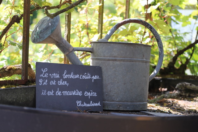 Lire la suite à propos de l’article Chronique campagnarde et potagère revisitée