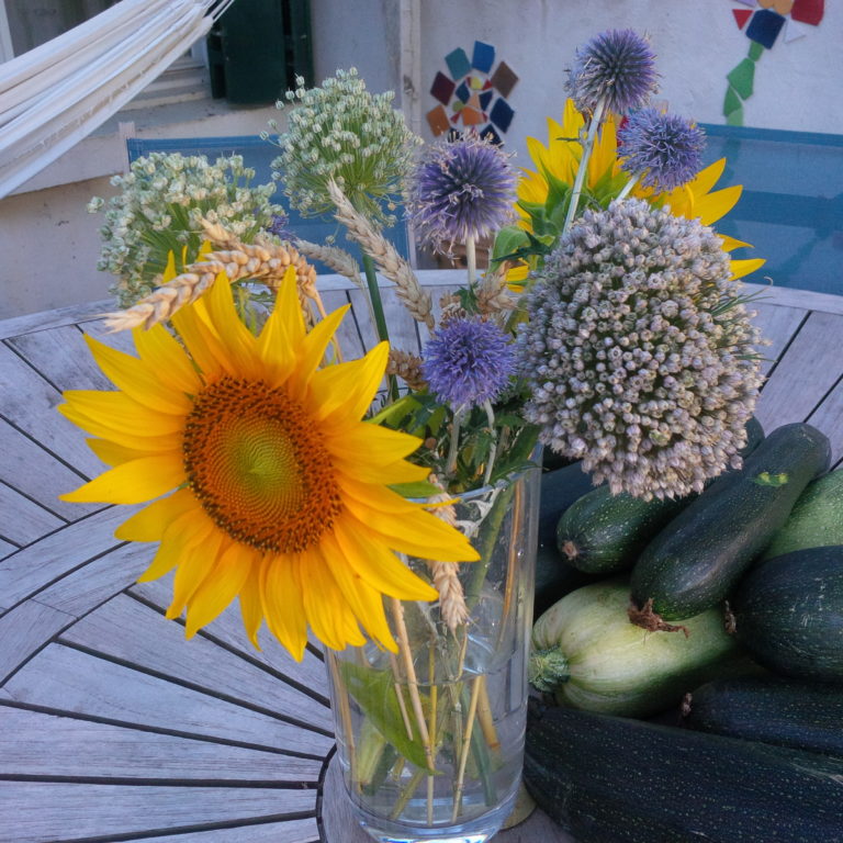 Lire la suite à propos de l’article Chronique autour de retrouvailles à venir et d&rsquo;un esprit en chemin