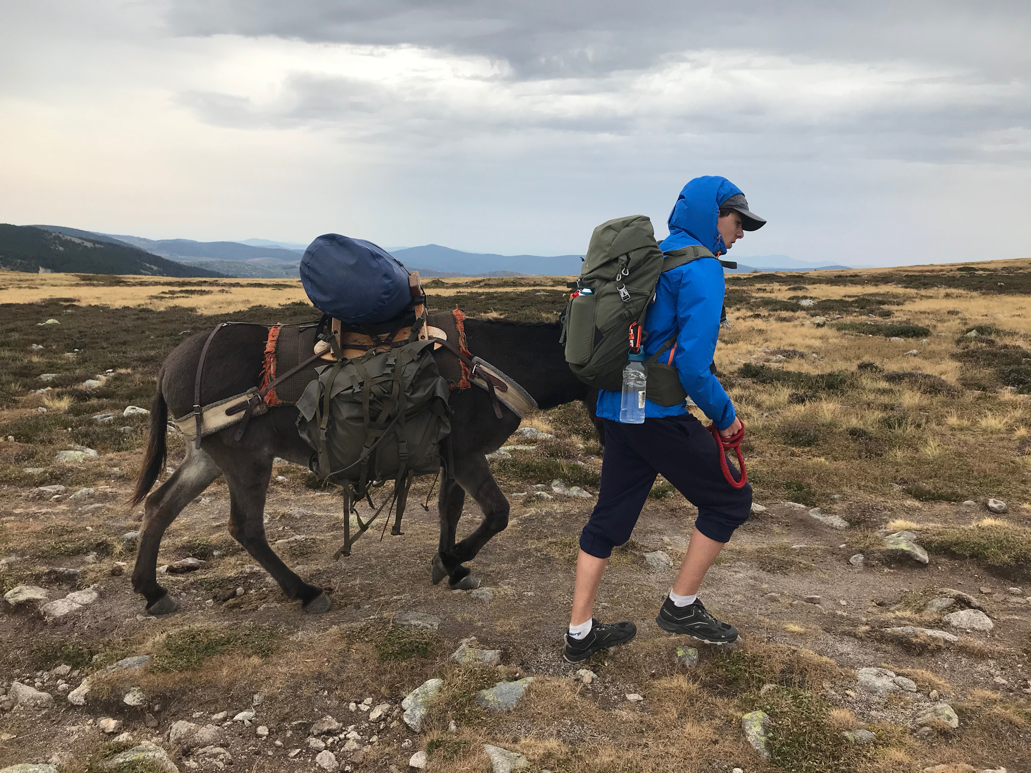 You are currently viewing Chronique autour d&rsquo;une randonnée sur le chemin de Stevenson