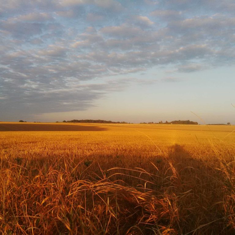 Lire la suite à propos de l’article Chronique autour de la rentrée des classes
