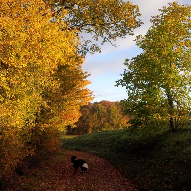 Lire la suite à propos de l’article Chronique de la fin de l&rsquo;été