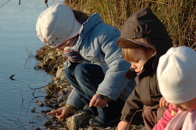 Lire la suite à propos de l’article Chronique autour des enfants devenus grands