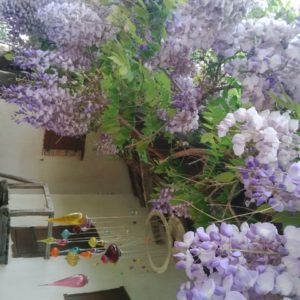 Lire la suite à propos de l’article Chronique de petits bonheurs passés