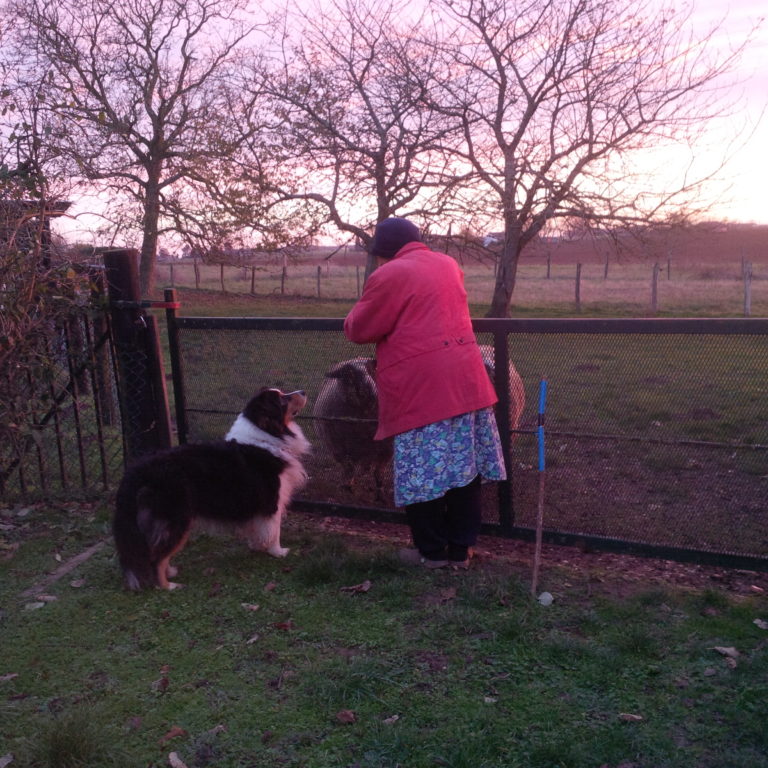 Lire la suite à propos de l’article Chronique depuis un plateau brumeux