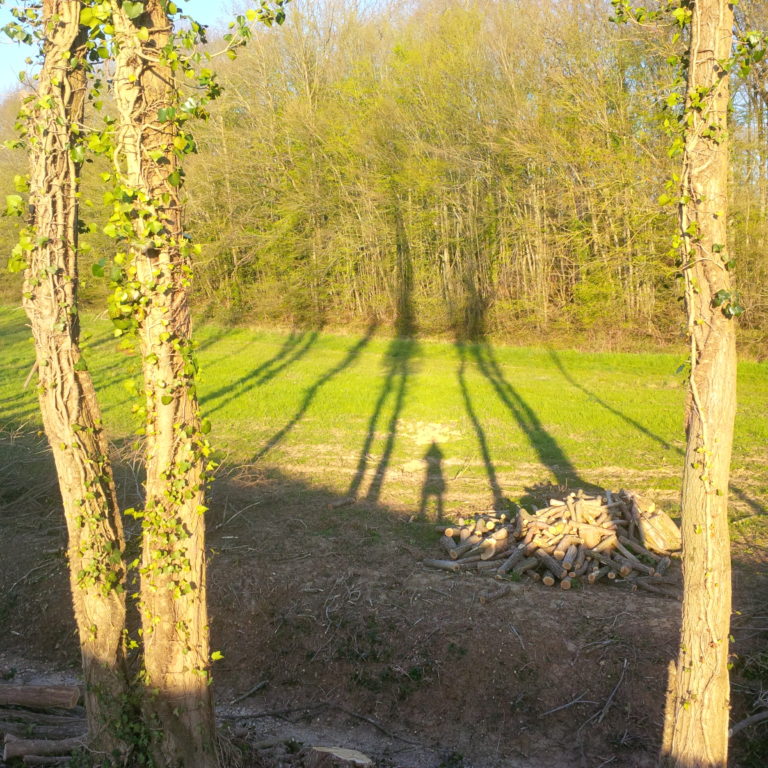 Lire la suite à propos de l’article Chronique minuscule