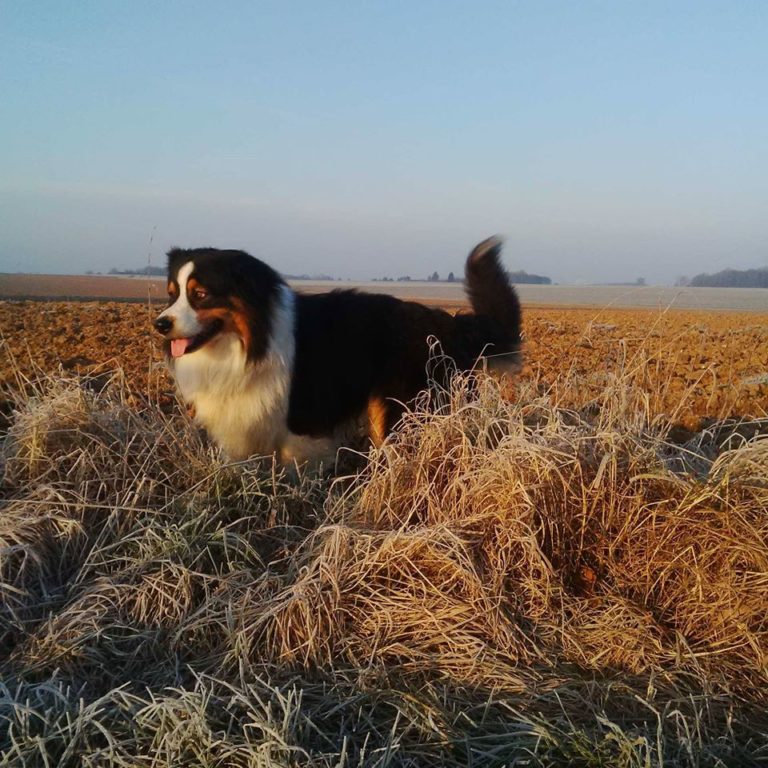 Lire la suite à propos de l’article Chronique enneigée