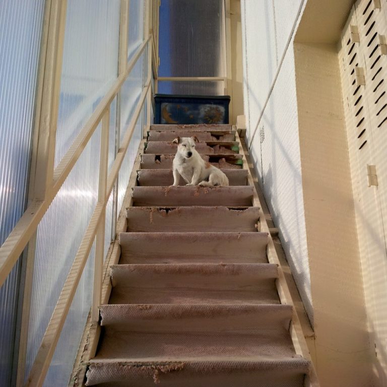 Lire la suite à propos de l’article Chronique venteuse