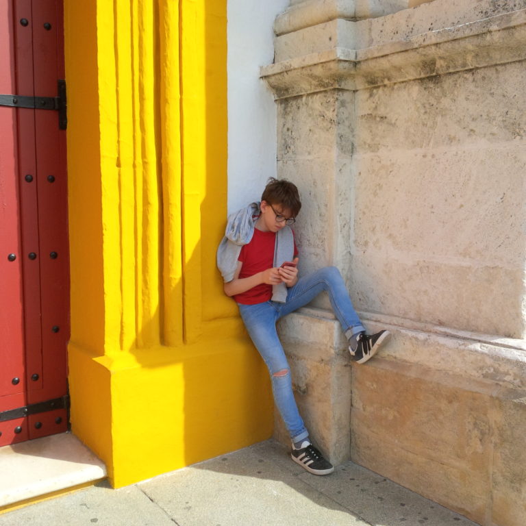 Lire la suite à propos de l’article Chronique autour du retour des grues cendrées