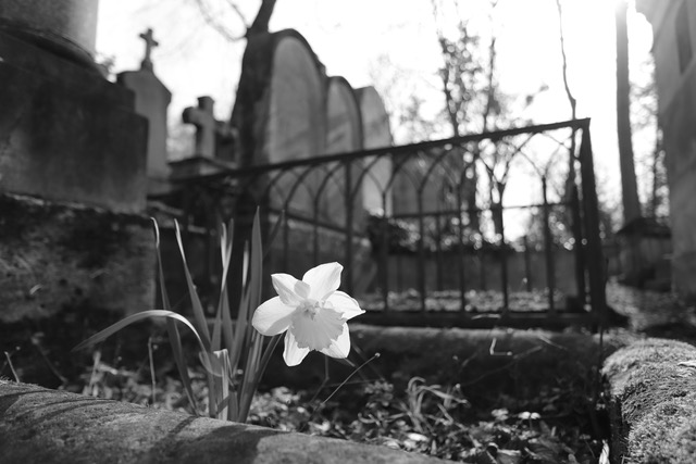 Lire la suite à propos de l’article Chronique d&rsquo;un Paris désenchanté