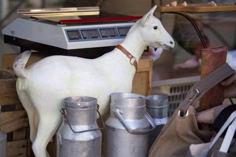 Lire la suite à propos de l’article Chronique pascale