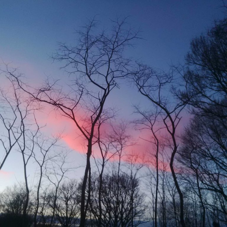 Lire la suite à propos de l’article Chronique en vrac