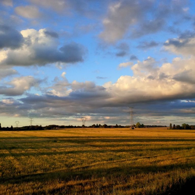 Lire la suite à propos de l’article Chronique depuis les escaliers de chez Muguette